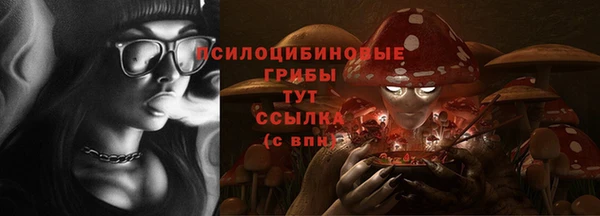 амф Бородино