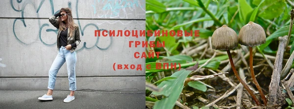 jwh Богородицк