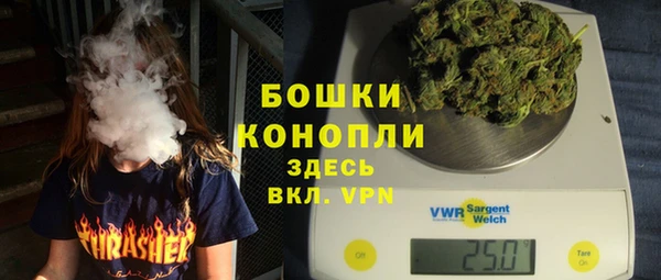 СК Богородск